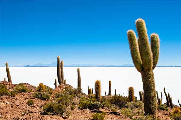 Les incontournables du Pérou et de la Bolivie