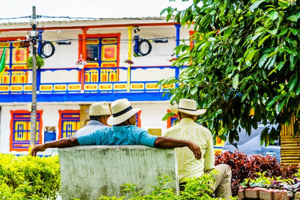 Voyage au Coeur des Caféiers et des Villes Colorées