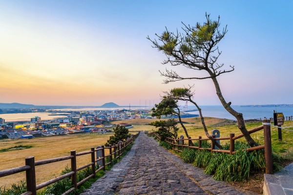 De Joseon à Jeju : entre dynasties et paysages sacrés