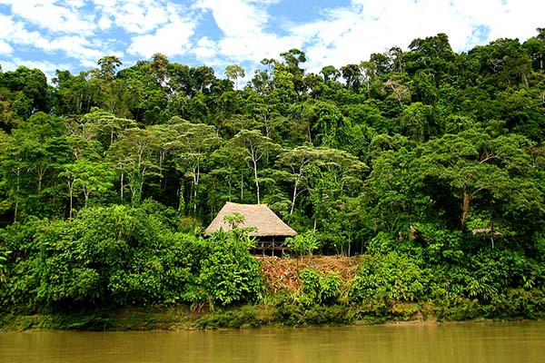Entre volcans, jungle et îles enchantées
