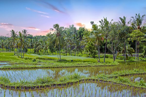 Jour 4 : De Bornéo à Lombok 