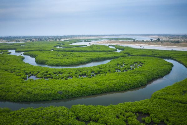 Petite Côte et Sine Saloum, au fil des bolongs