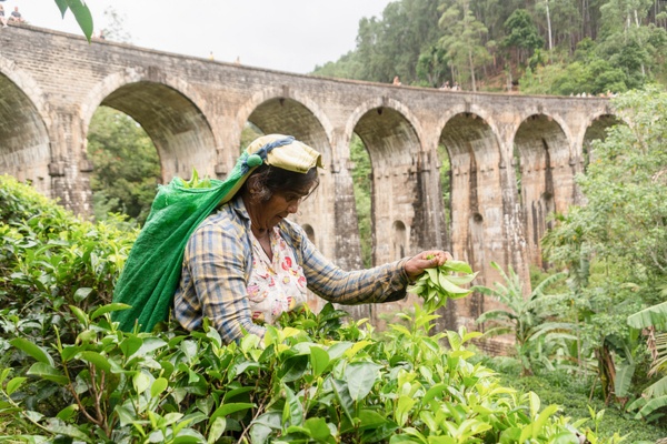 Sri Lanka