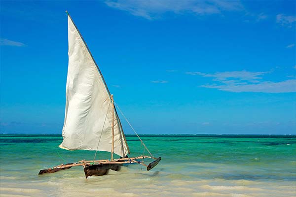 Des Plaines du Serengeti aux Plages de Zanzibar