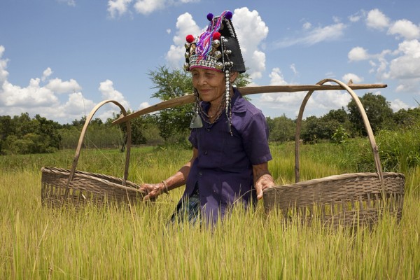 Vietnam au Fil des Traditions Ancestrales