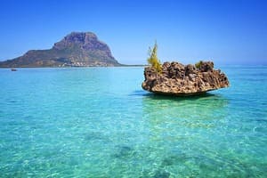 Jour 7 : Excursion à l'île aux Bénitiers 
