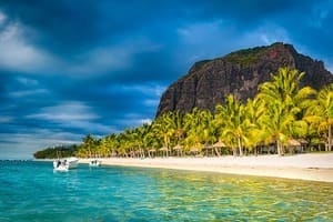 Jour 7 : Découverte du Morne Brabant