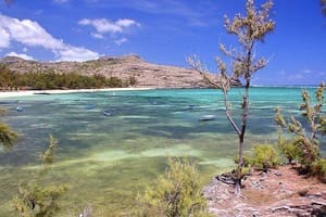 Jour 10 : Excursion à l'île aux Cocos