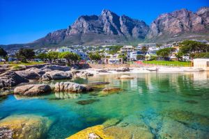 Jour 1 : De l'aéroport de Cape Town à Cape Town 