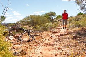 Jour 4 : De Cervantes à Kalbarri