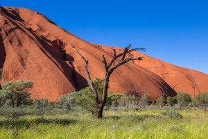 Jour 5 : De Sydney à Yulara en avion 