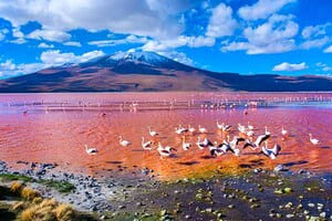 Jour 7 : De Uyuni à Desert de Siloli 