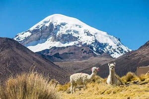 Jour 12 : De Chipayas à Sajama 