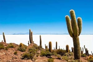 Jour 6 : Visite de Uyuni