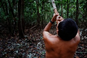 Jour 9 : Immersion dans la jungle Amazonienne