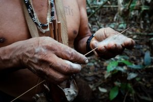 Jour 8 : Deuxième journée dans l'Amazonie