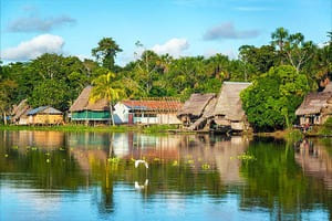 Jour 7 : De Manaus à Amazonie 