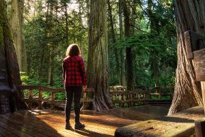 Jour 15 : De Campbell River à Ucluelet