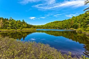 Jour 7 : De Québec à la Mauricie
