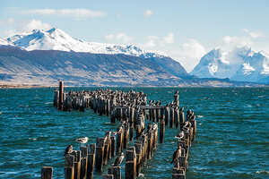 Jour 8 : De Castro à Puerto Montt et vol pour Puerto Natales