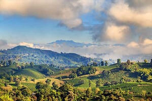 Jour 9 : De Medellin à Région du café by air 