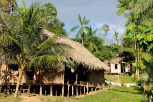 Jour 7 : Visite de la Communauté Guambiana