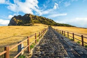 Jour 12 : Visite de Jeju