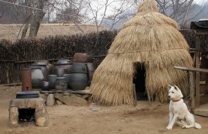 Jour 8 : Visite de Jeonju