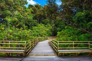 Jour 9 : Visite de Manuel Antonio