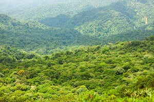 Jour 6 : De Arenal à Monteverde 