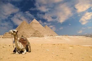 Jour 8 : Du Caire à l'aéroport du Caire 