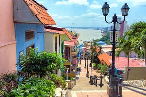 Jour 13 : De Cuenca à Guayaquil 