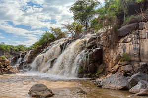 Jour 4 : De Harar à Awash (3 h de route)