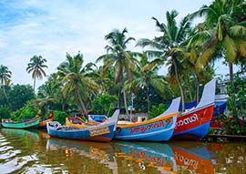 Jour 12 : De Thekkady à Kumarakom (4h de route)