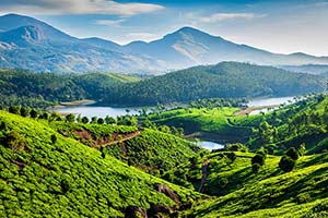 Jour 15 : Visite de Munnar