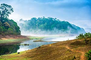 Jour 17 : Visite de Thekkady