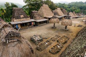 Jour 5 : Excursion à Bajawa