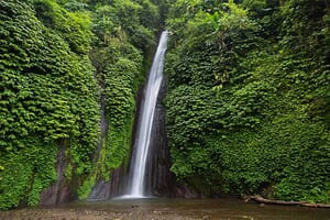 Jour 4 : De Munduk à Ubud (2 h de route)