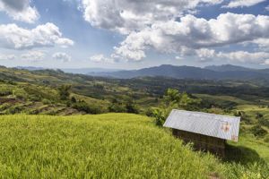 Jour 6 : De Bajawa à Ruteng (3h30 de route)