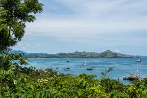 Jour 9 : De Dintor à Labuan Bajo (4 h de route)