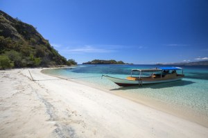 Jour 3 : Journée snorkelling à Riung