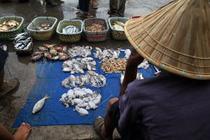 Jour 20 : Visite de Palu 