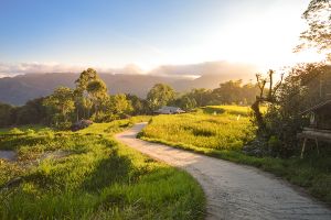 Jour 6 : Journée au pays Toraja