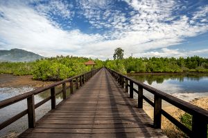 Jour 19 : De Ampana à Palu