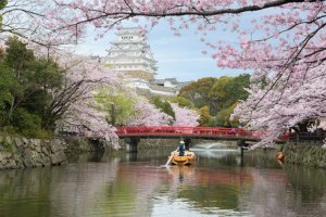 De Miyajima à Osaka 