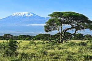 Jour 4 : De Tsavo Ouest à Amboseli (2h30 de route)