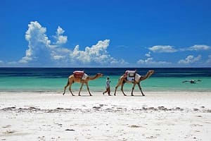 Jour 8 : Journée libre à Diani Beach