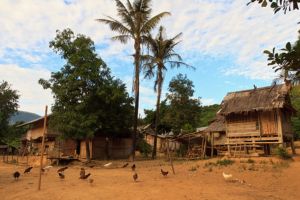 Jour 5 : De Ban Namak à Muang Khua (3 h de marche facile + 4 h de route)