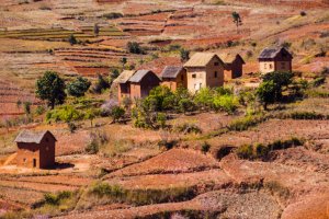 Jour 3 : De Antsirabe à Tsiribihina 