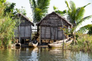 Jour 6 : De Palmarium à Tamatave 